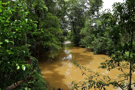 riviere-jungle-mondolkiri