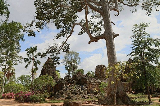 temple-ta-phrom