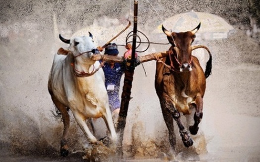 fete traditionnelle vietnam