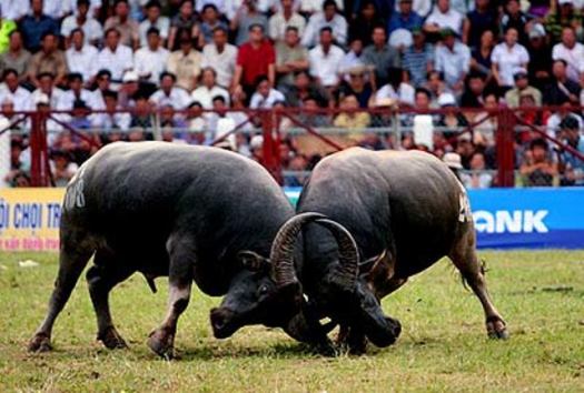 fete traditionnelle vietnam