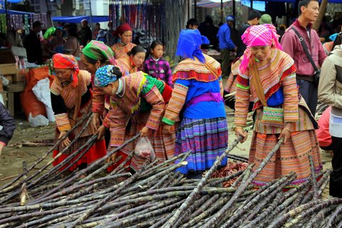 Voyage au Vietnam du groupe de M.Marion