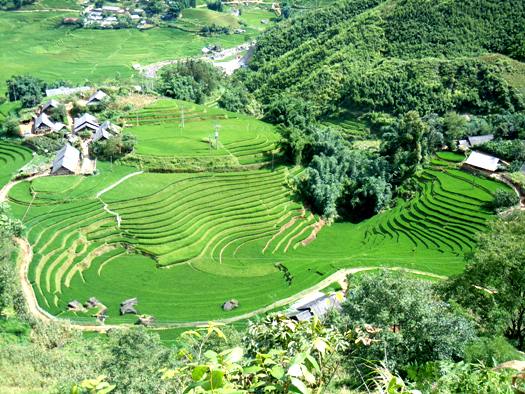 sapa nord vietnam