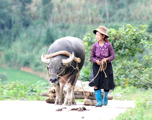 Rencontre les villageois dans le Nord du Vietnam