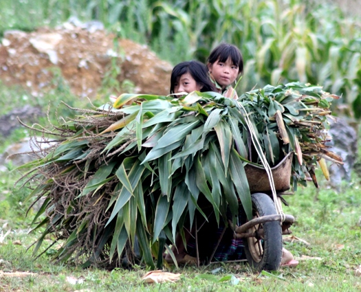 Les enfants du Nord Vietnam