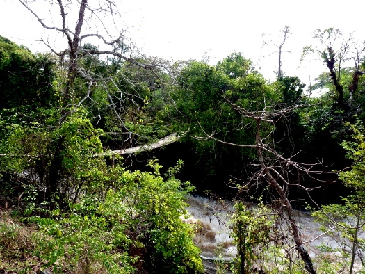 Petit pont traversant la rivière du village