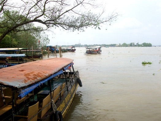 Séjour au Vietnam: Delta du Mékong