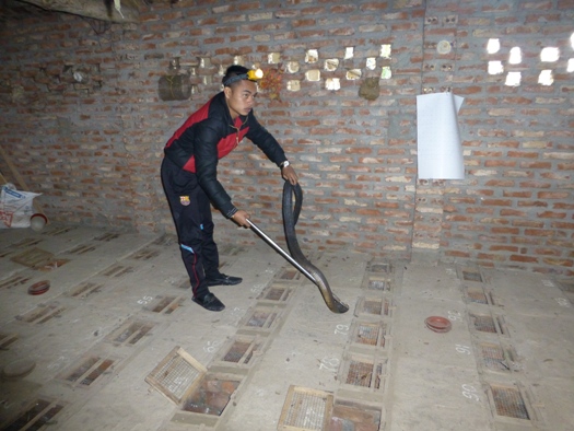 Le propriétaire fait sortir le cobra 