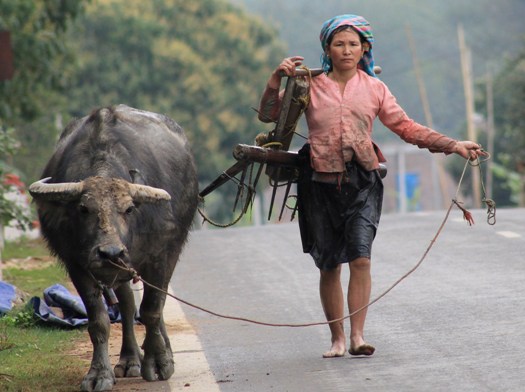 Voyage au Vietnam du groupe Dubois 