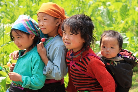 Voyage au Vietnam de Mme Dubois 