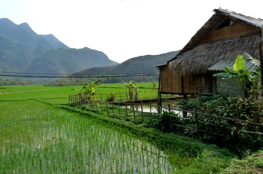 Voyage au Vietnam : groupe de Madame Chapuis 