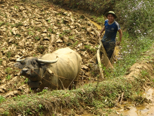Voyage au Vietnam: Immersion chez les Hmongs