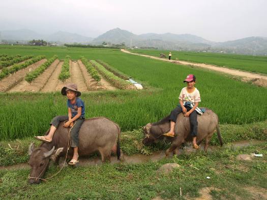 Voyage au Vietnam de M. Mazin 