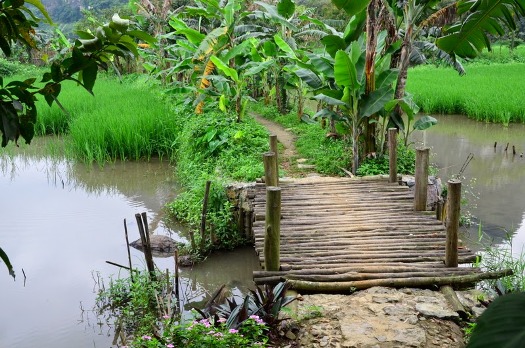 voyage en indochine : nord vietnam 