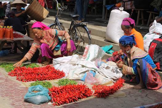marche ethnique a bac ha 