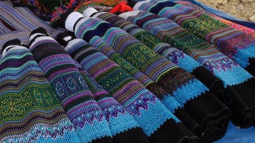 découverte au vietnam de la famille Menier