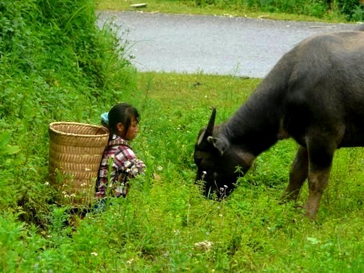 decouverte du vietnam 