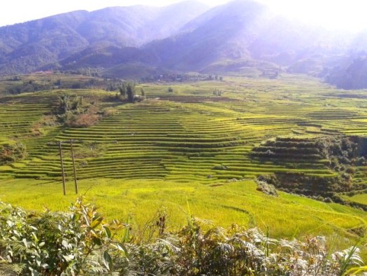 decouverte du vietnam 