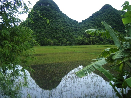 vacances au vietnam, baie d'halong terrestre