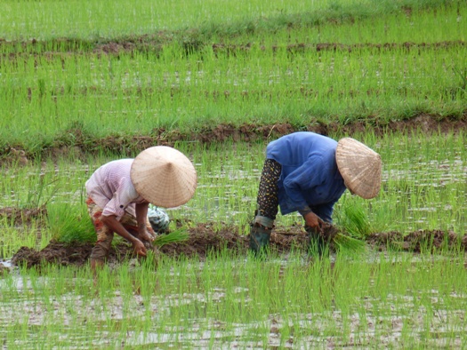 Voyage au Vietnam Christian et Françoise Faur