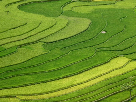 sejour chez l'habitant vietnam 