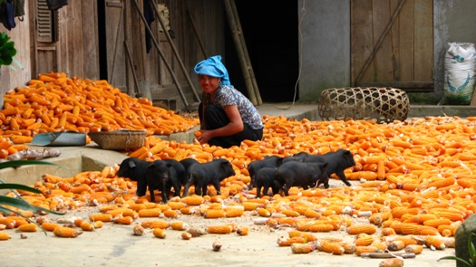 voyage au vietnam nord vietnam