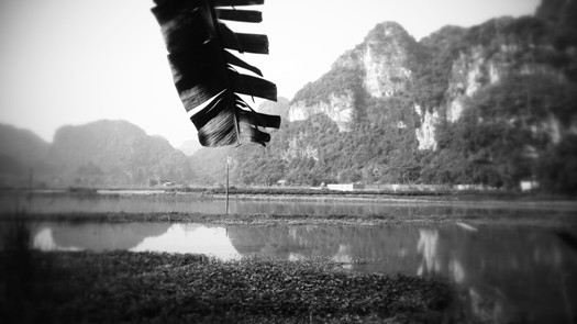 sejour au vietnam nord vietnam 