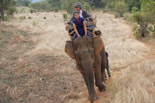 Balade à dos d'éléphant