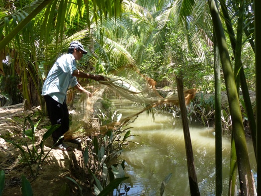 Chez Viet, Coco Lodge