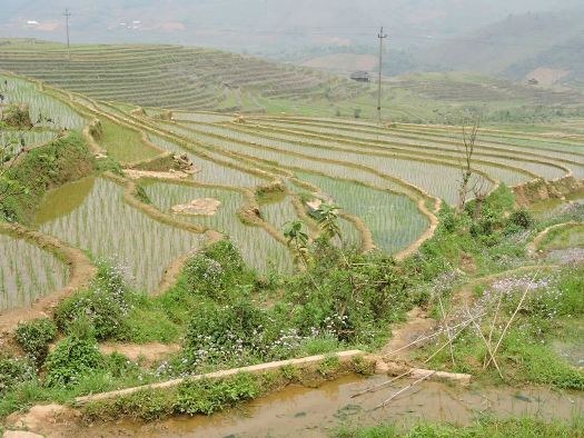 Voyage au nord Vietnam