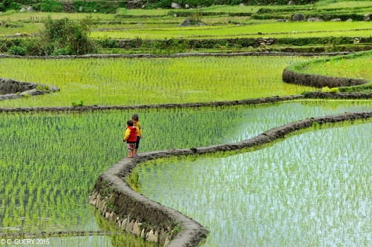 Visite de Mu Cang Chai