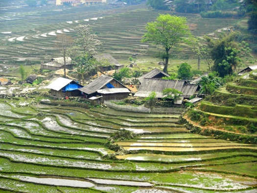 Paysage nord vietnam 