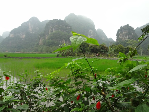 Baie d'Halong terrestre 