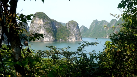 Vue panoramique sur la baie d'Halong 