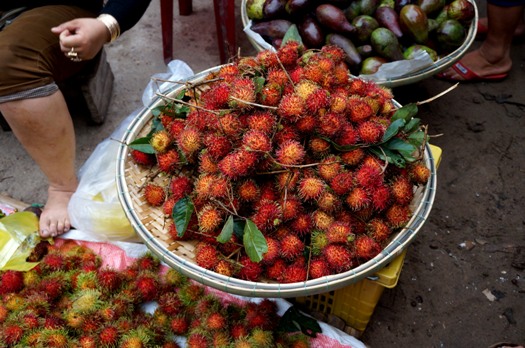 Les ramboutans à Hanoi 