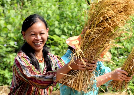 Scène champêtre près de Ba Be
