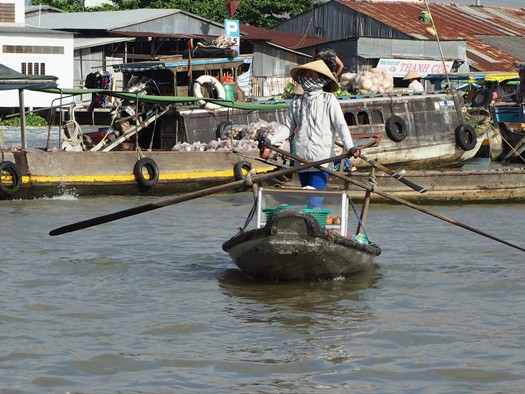 Marché flottant du Delta du Mékong 