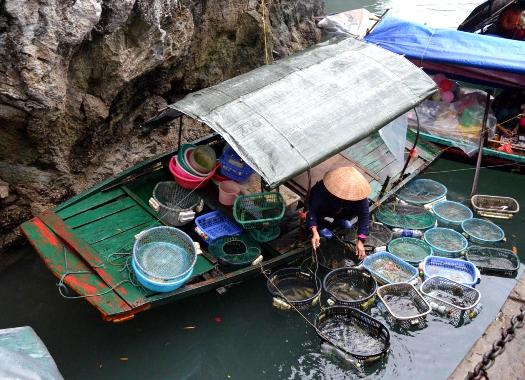 Baie d'Along, Nord Vietnam 