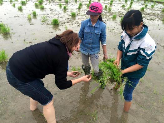 immersion chez l'habitant, vie quotidienne