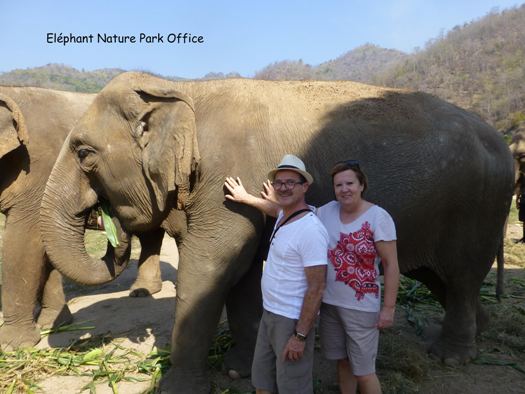 Elephant nature park office 
