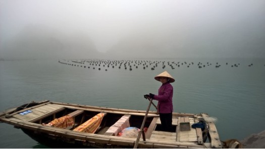 voyage de noce au vietnam 