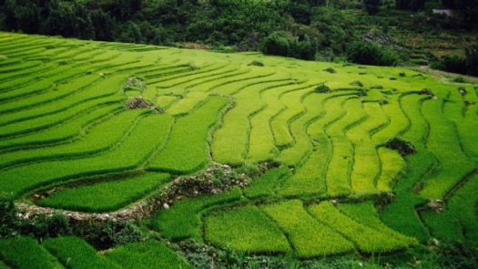 Saison de velours sur les flancs de montagnes