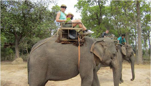 Balade au dos d'éléphant au Vietnam