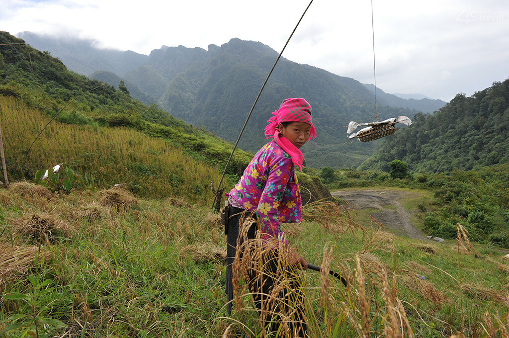 Jeune fille Hmong de Seo Lung jeune fille hmong seo lung