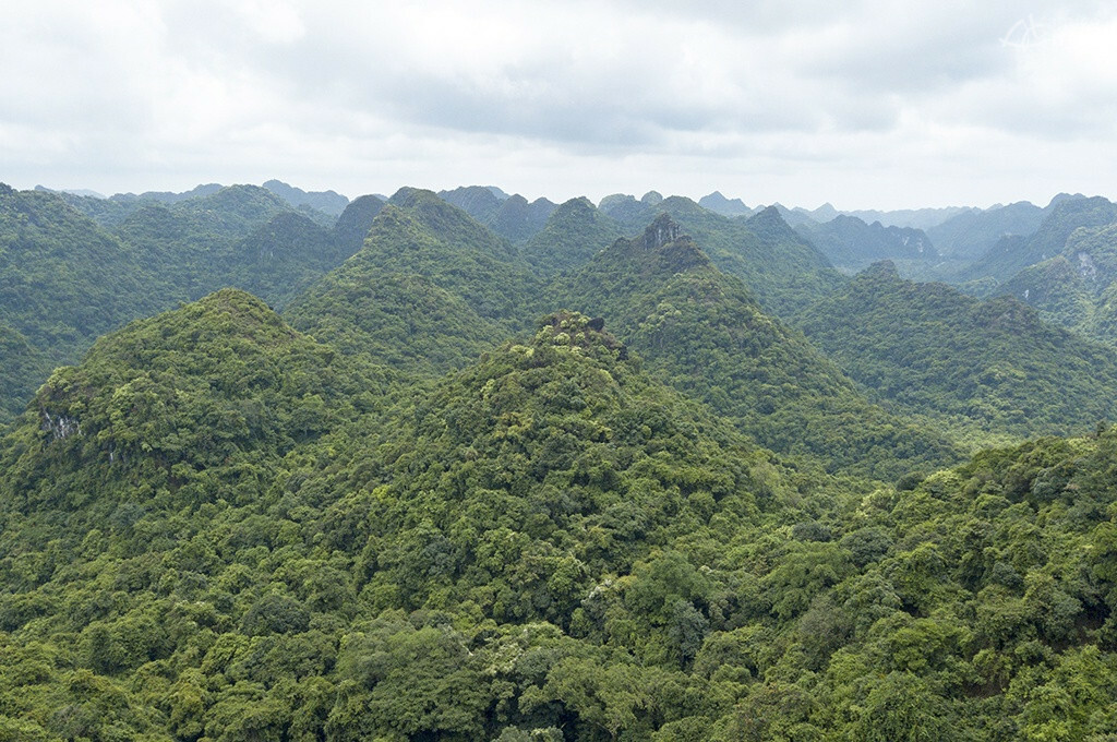 Parc national de Cat Ba parc national cat ba