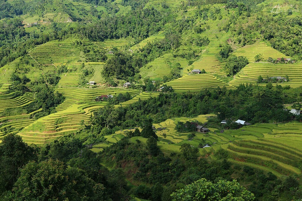 Rizières en terrasses de Song Chay rizieres en terrasse ha giang vietnam