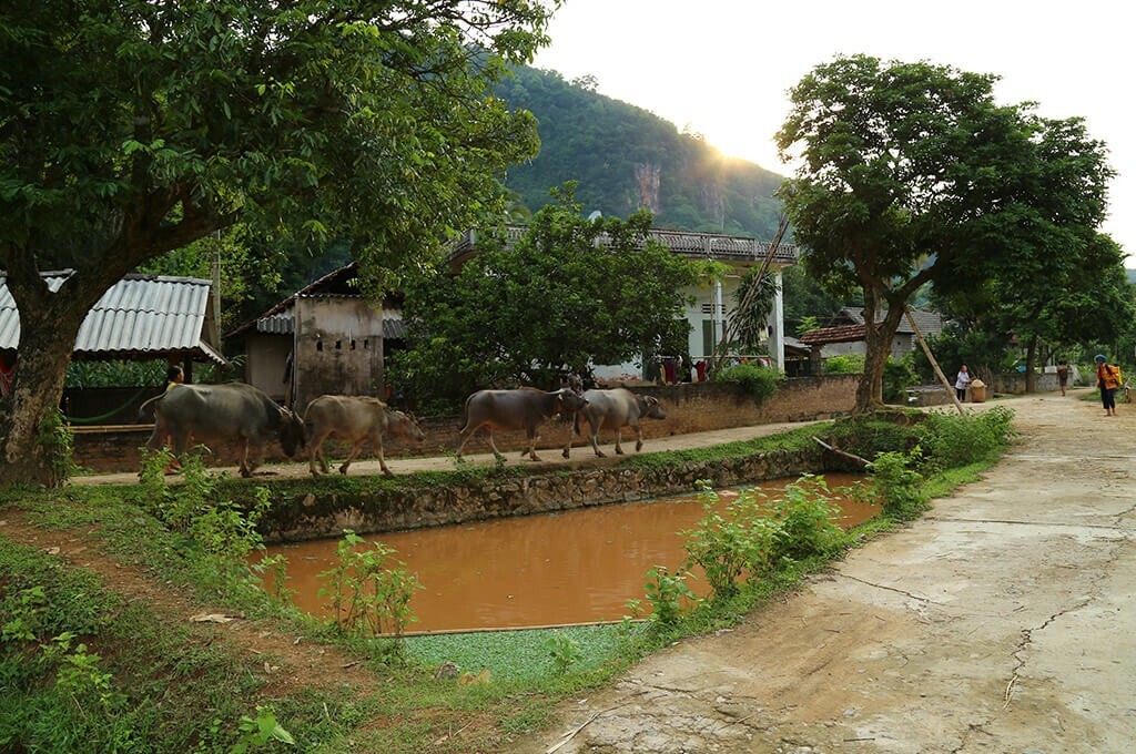 Vie locale village Mai Hich Mai Chau