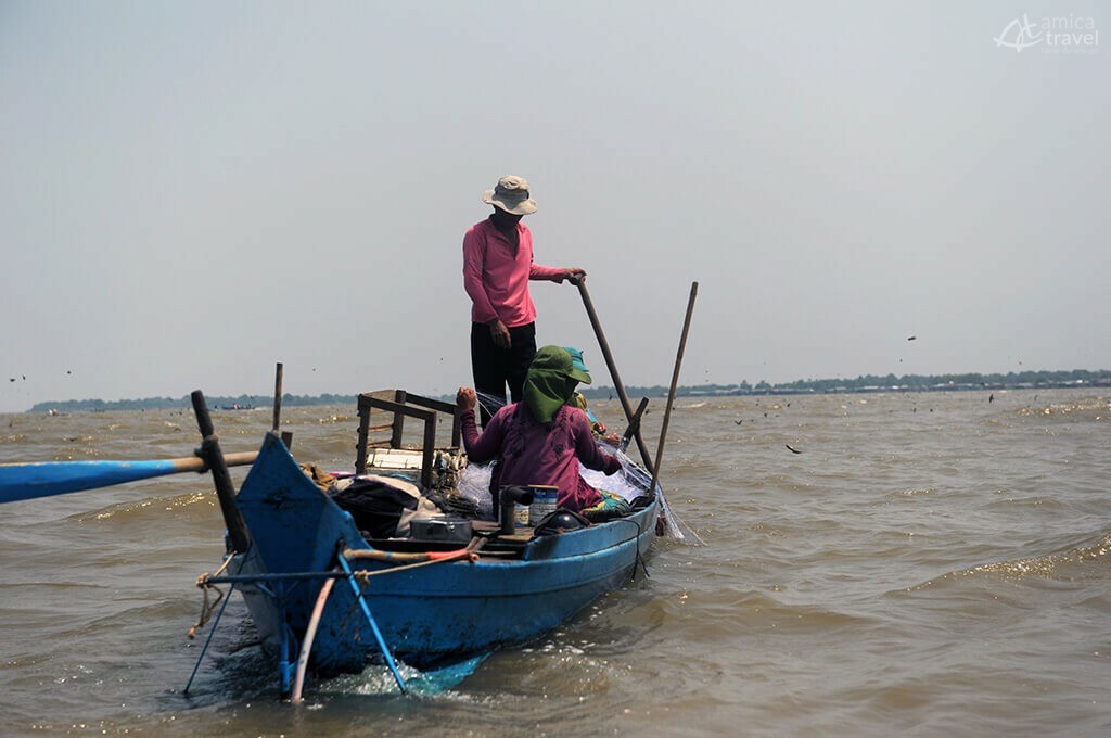 Vie aquatique Tonlé Sap Cambodge