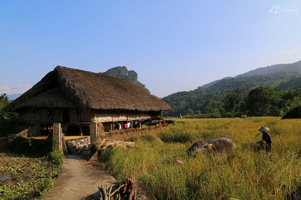 Maison sur pilotis traditionnelle ha giang nord vietnam