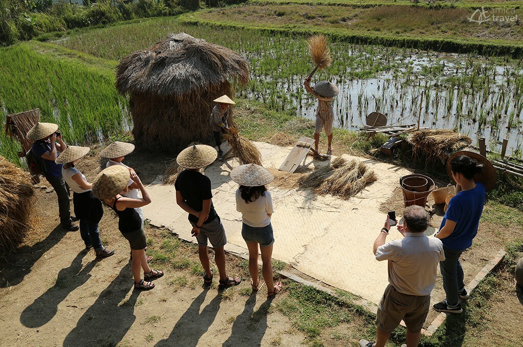 Battage du riz à Luang Prabang battage du riz Luang Prabang Laos