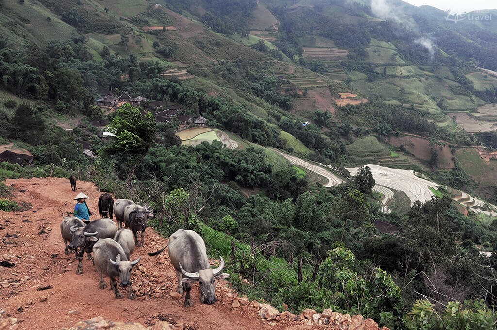 travail agricole lolo noir Cao Bang Vietnam